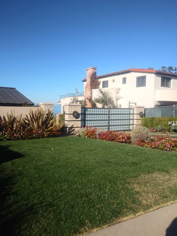 Reliable yard cleanup service in San Juan Capistrano, CA - Pedros Landscaping