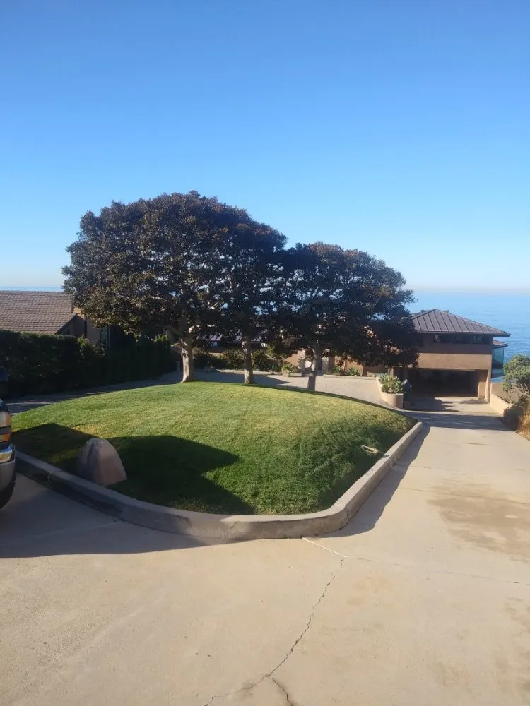 Reliable lawn mowing service in San Juan Capistrano, CA - Pedros Landscaping