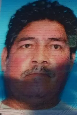 Pedro's Landscaping Service Logo