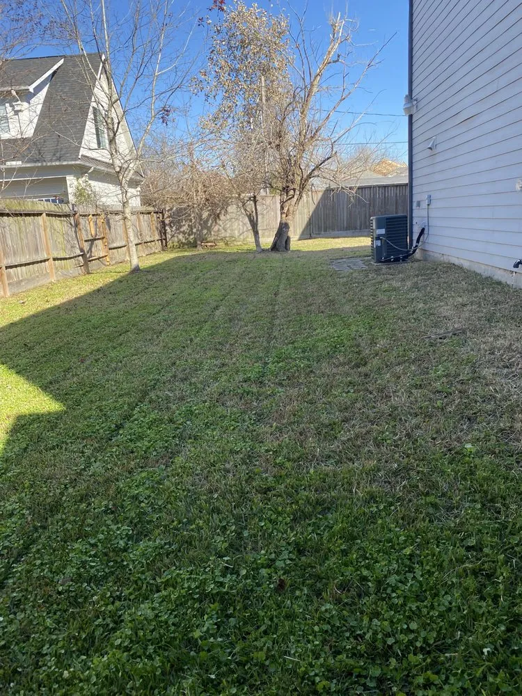 Local yard maintenance experts serving Houston, TX - Pedro's Landscaping Service