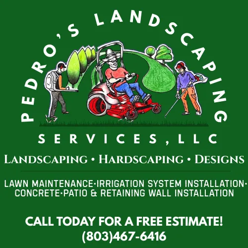 Custom lawn mowing service experts serving Gaston, SC - Pedros Landscaping Services