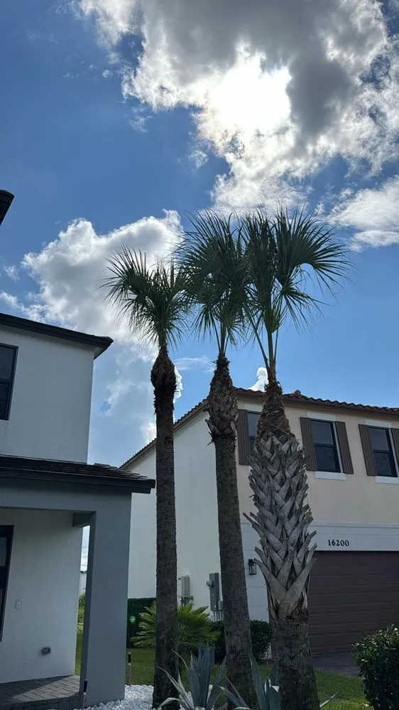 Affordable lawn mowing service with custom design across Lake Worth Beach, FL - Pedro’s Landscaping Services