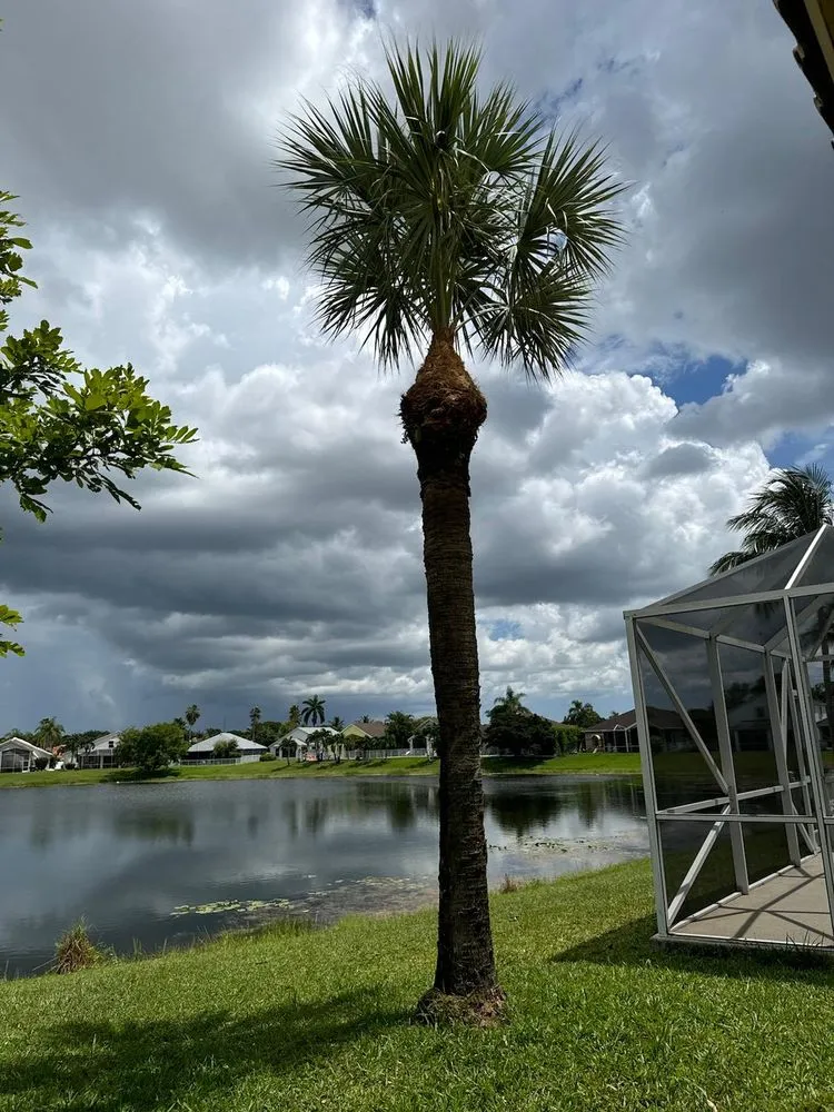 Professional garden landscaping for year-round maintenance in Lake Worth Beach, FL by Pedro’s Landscaping Services