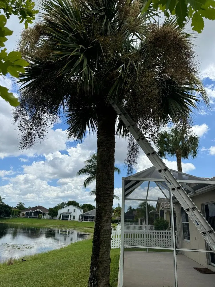 Trusted lawn care service experts serving Lake Worth Beach, FL - Pedro’s Landscaping Services