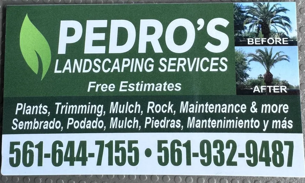 Affordable residential landscaping for beautiful yards across Lake Worth Beach, FL - Pedro’s Landscaping Services