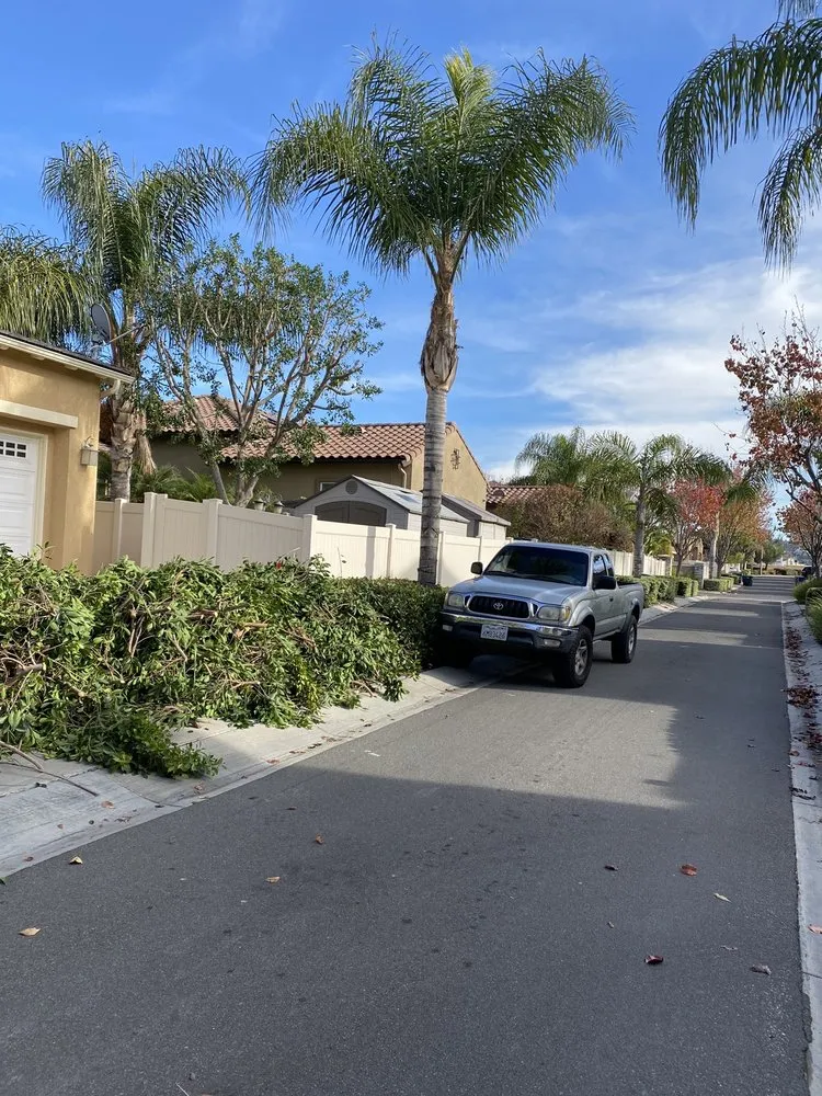 Local yard cleanup service in Riverside, CA - Pedros Landscaping Tree Service