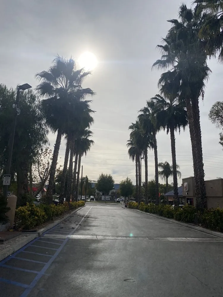 Affordable landscape design in Riverside, CA by Pedros Landscaping Tree Service