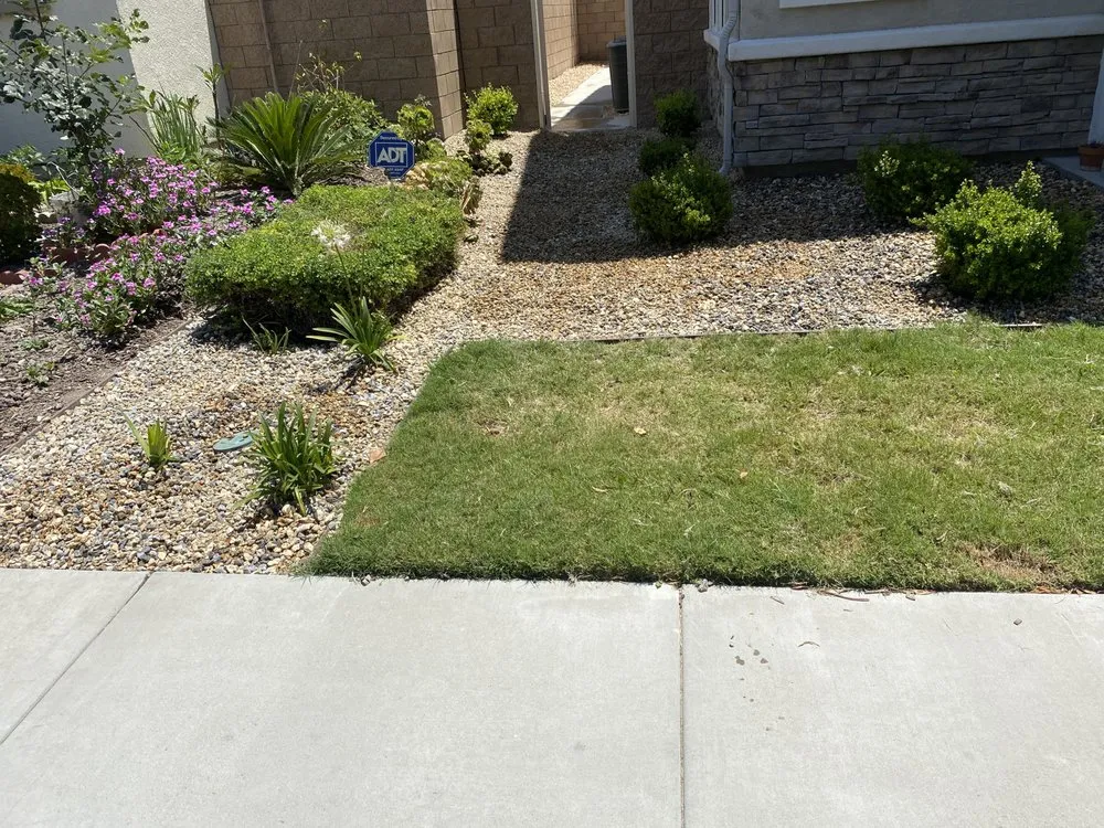 Reliable lawn care service experts serving Riverside, CA - Pedros Landscaping Tree Service