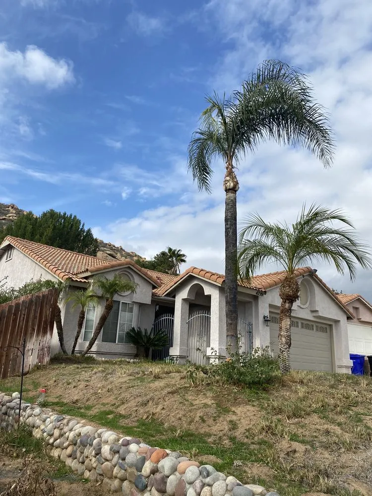 Top-rated yard cleanup service experts serving Riverside, CA - Pedros Landscaping Tree Service