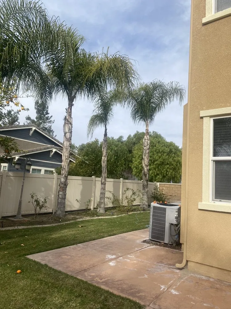 Affordable lawn mowing service for beautiful yards in Riverside, CA by Pedros Landscaping Tree Service