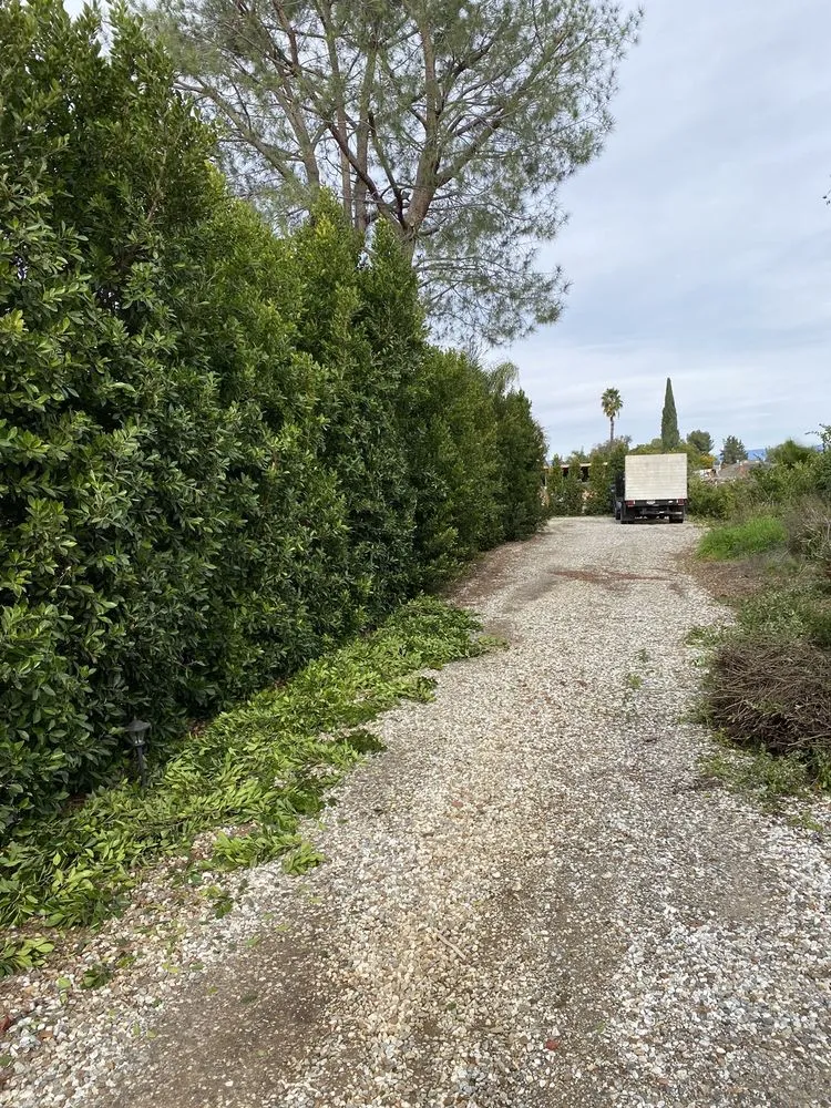 Professional garden landscaping experts serving Riverside, CA - Pedros Landscaping Tree Service