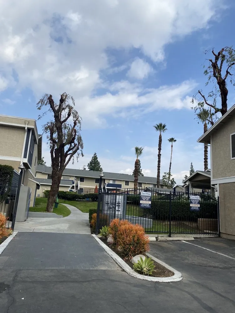 Top-rated landscaping services for homes in Riverside, CA by Pedros Landscaping Tree Service