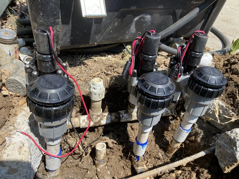 Expert yard maintenance experts serving Riverside, CA - Pedros Landscaping Tree Service