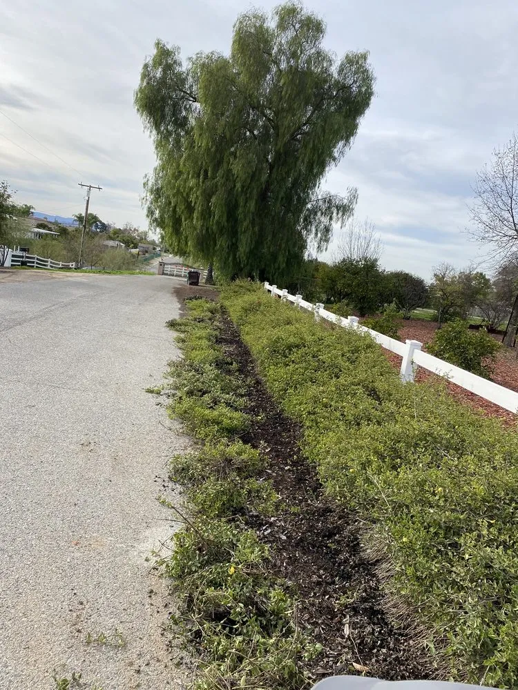 Local yard maintenance experts serving Riverside, CA - Pedros Landscaping Tree Service