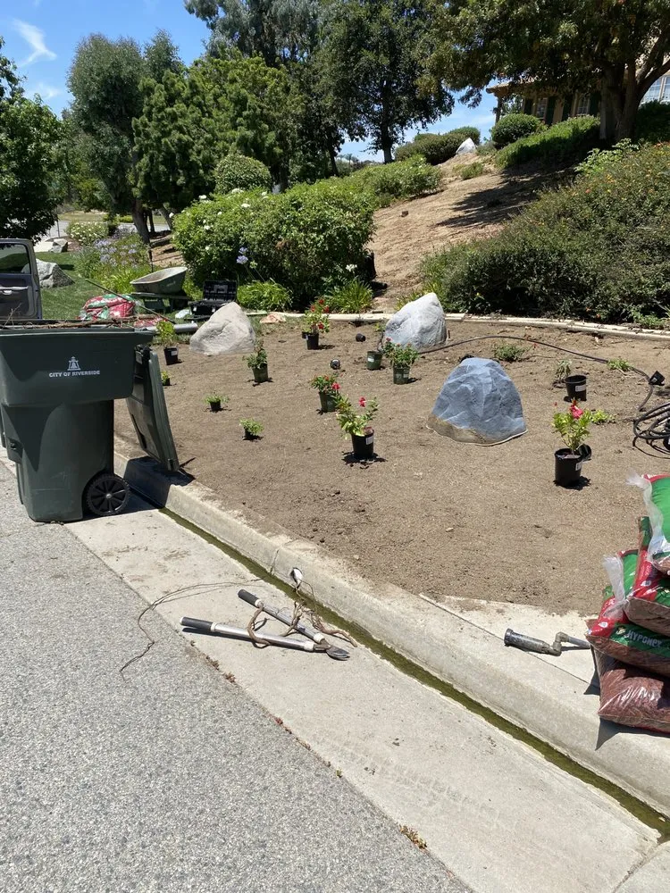 Trusted landscaping services in Riverside, CA by Pedros Landscaping Tree Service