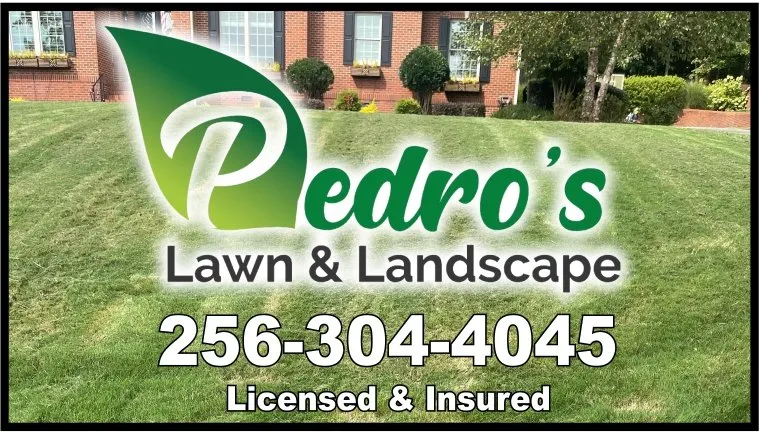 Affordable yard cleanup service in Fort Payne, AL by Pedro’s Lawn & Landscape