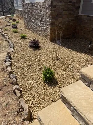 Pedro’s Lawn & Landscape