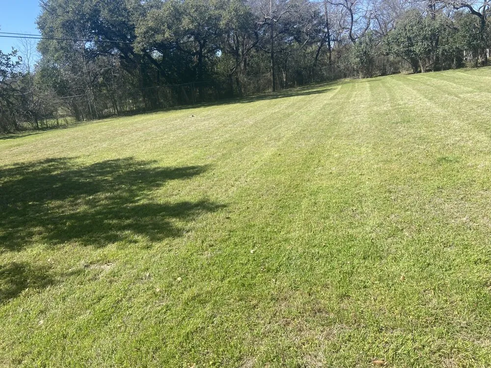 Trusted residential landscaping in Cedar Creek, TX by Pedros Lawn Care
