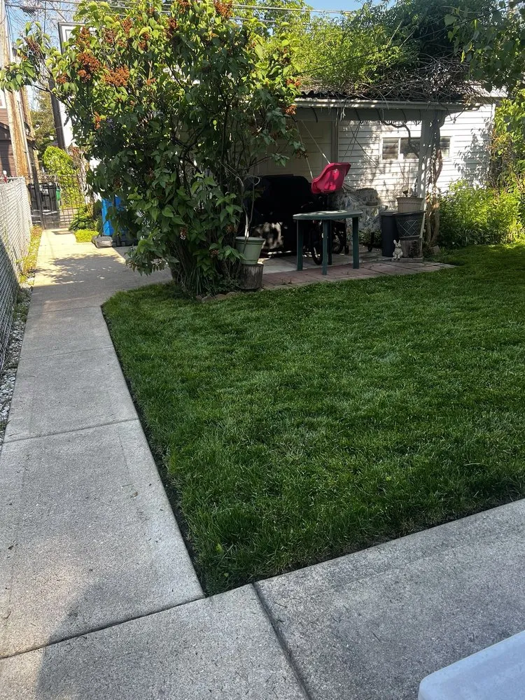 Expert landscape design experts serving Cicero, IL - Pedro’s lawn care