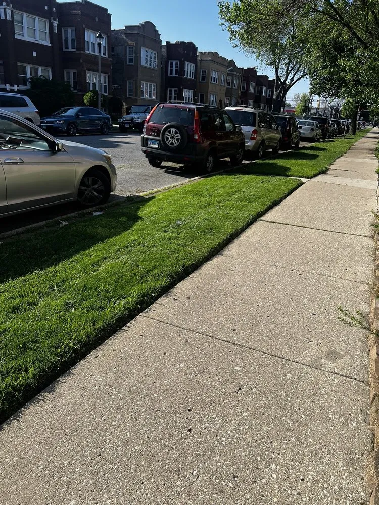 Professional garden landscaping with custom design across Cicero, IL - Pedro’s lawn care