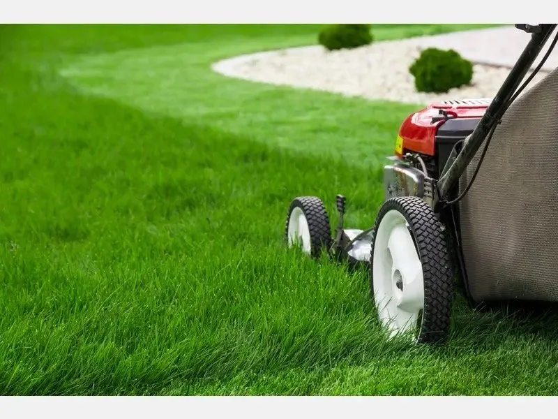 Affordable outdoor landscaping in Cicero, IL by Pedro’s lawn care