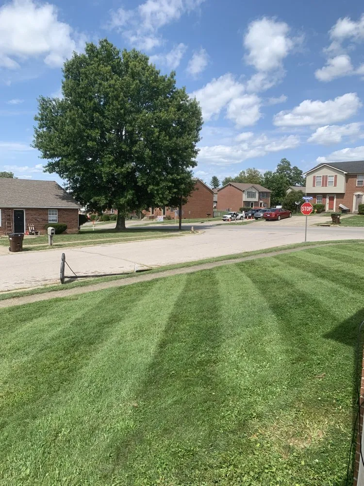 Custom lawn mowing service in Richmond, KY by Pedro’s Lawn Care