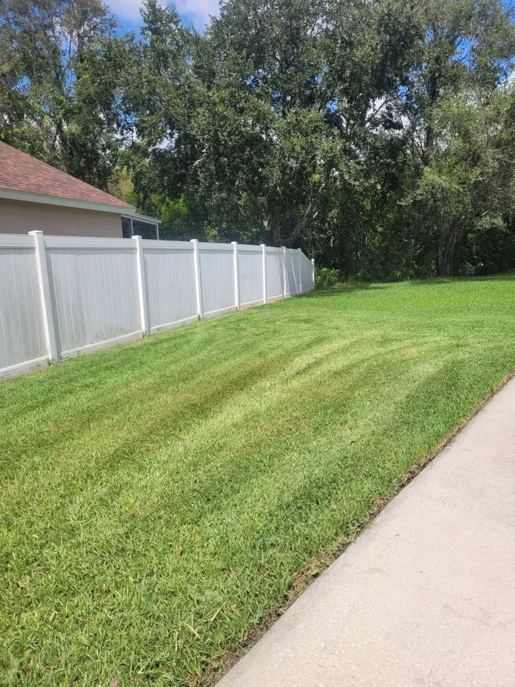 Professional yard maintenance in Palmetto, FL - Pedro's Lawn Service