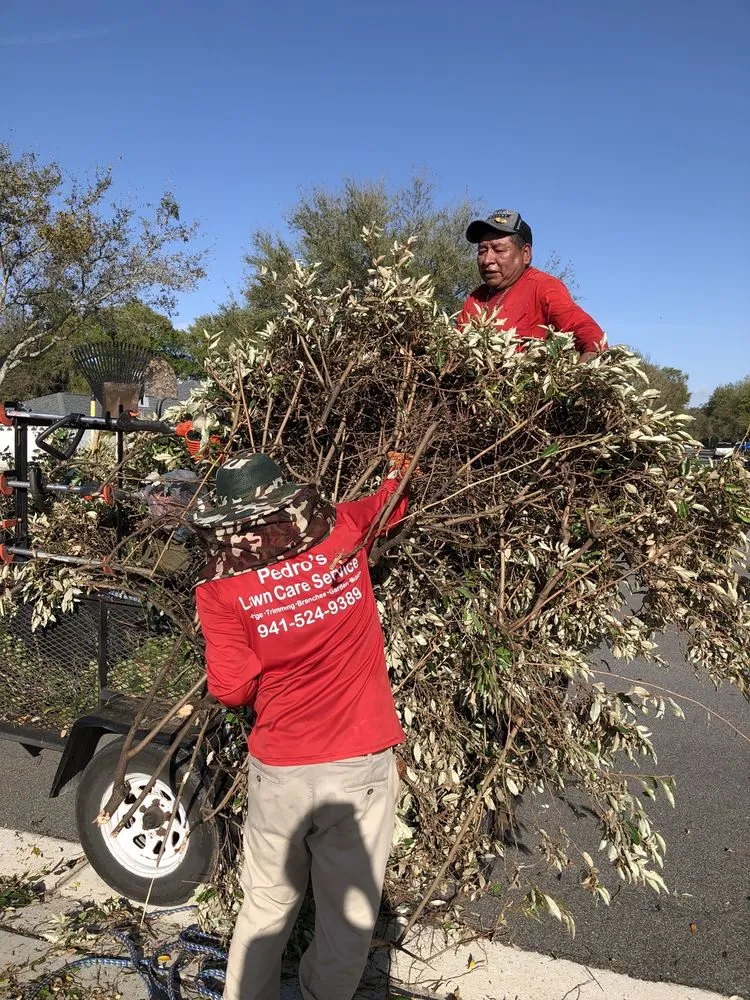 Expert residential landscaping in Palmetto, FL - Pedro's Lawn Service
