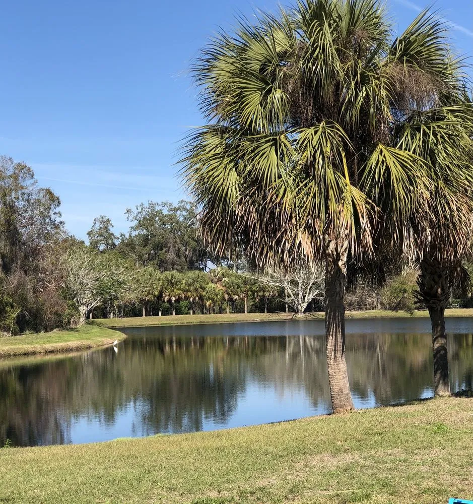 Custom yard cleanup service in Palmetto, FL - Pedro's Lawn Service