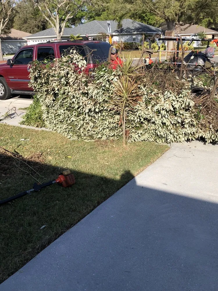 Top-rated garden landscaping in Palmetto, FL - Pedro's Lawn Service