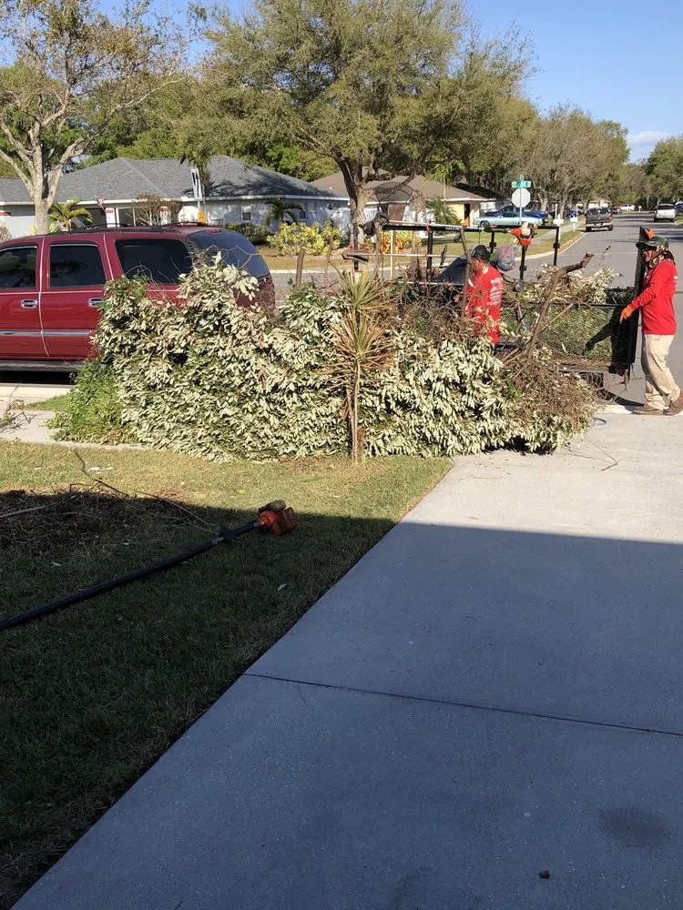 Local garden landscaping in Palmetto, FL by Pedro's Lawn Service