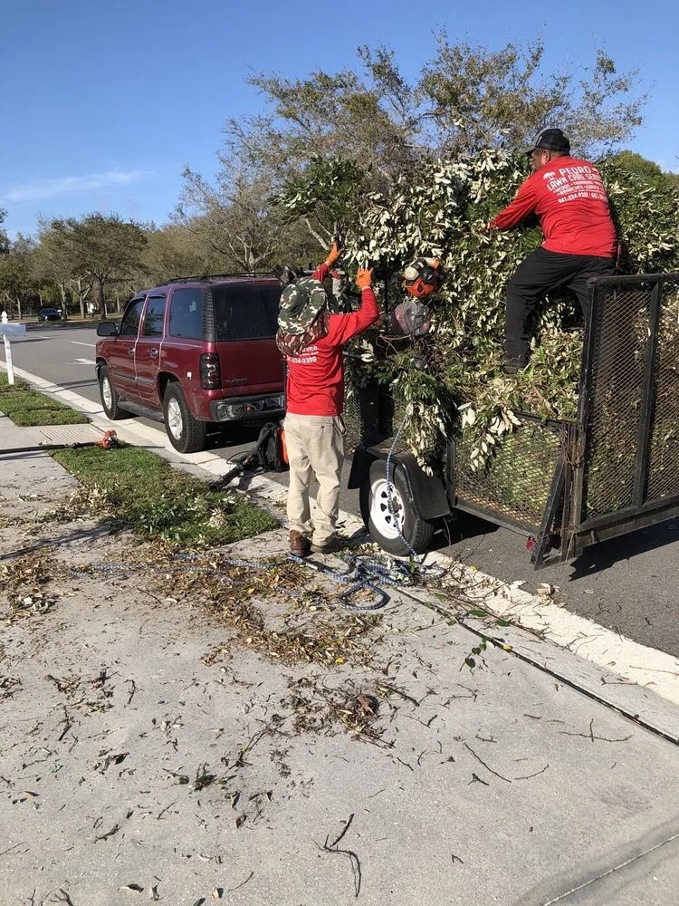 Top-rated garden landscaping for homes across Palmetto, FL - Pedro's Lawn Service
