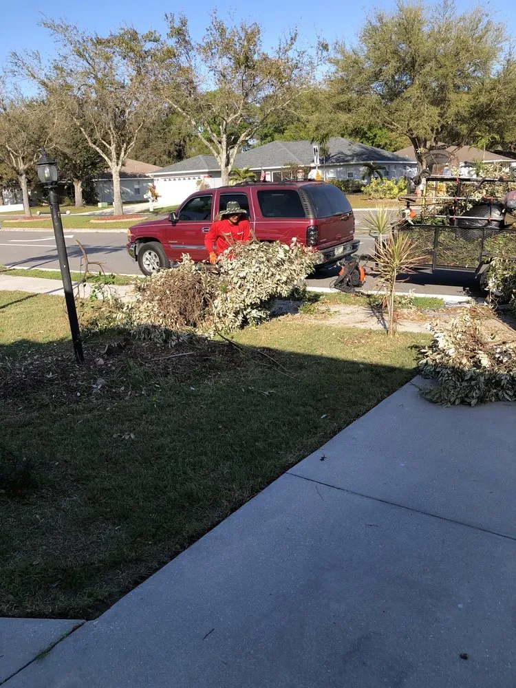 Reliable outdoor landscaping experts serving Palmetto, FL - Pedro's Lawn Service