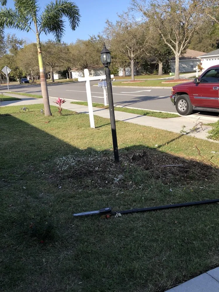 Trusted landscaping services for year-round maintenance in Palmetto, FL by Pedro's Lawn Service