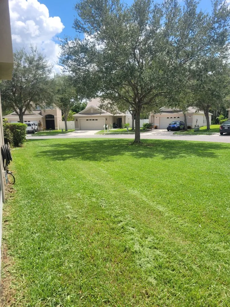 Top-rated lawn mowing service with custom design across Palmetto, FL - Pedro's Lawn Service