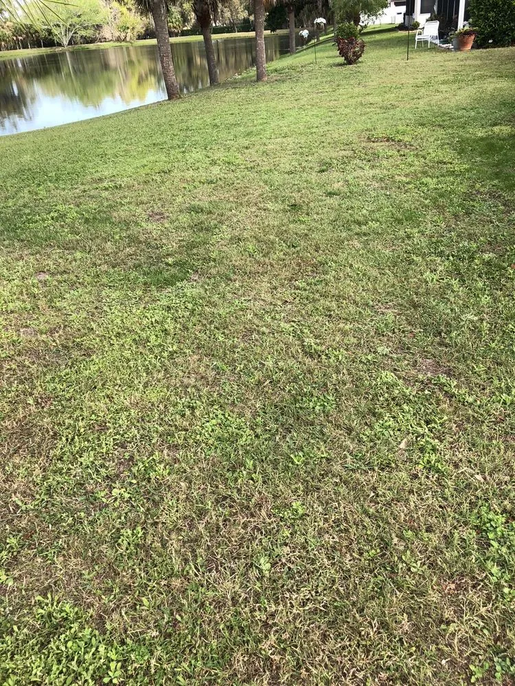 Custom residential landscaping for homes in Palmetto, FL by Pedro's Lawn Service