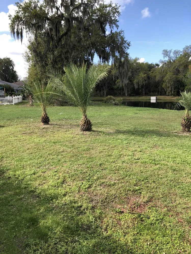 Reliable yard cleanup service in Palmetto, FL - Pedro's Lawn Service