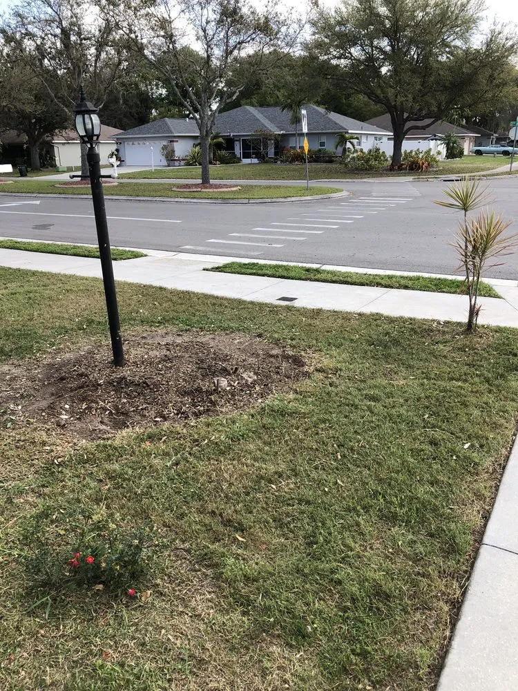 Top-rated residential landscaping in Palmetto, FL by Pedro's Lawn Service