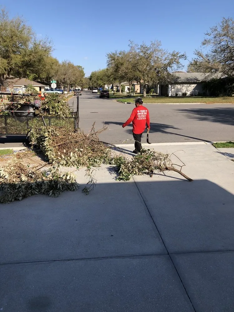 Affordable garden landscaping for beautiful yards across Palmetto, FL - Pedro's Lawn Service