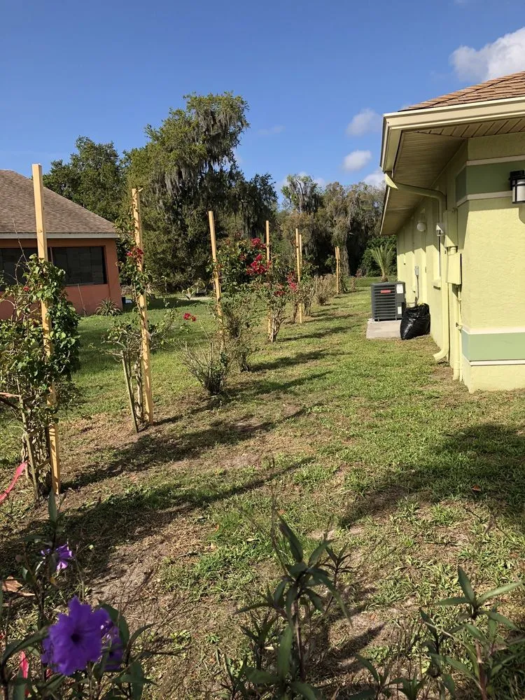 Professional landscape installation experts serving Palmetto, FL - Pedro's Lawn Service