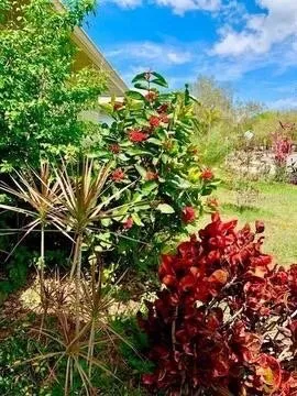 Local landscaping services for homes in Palmetto, FL by Pedro's Lawn Service