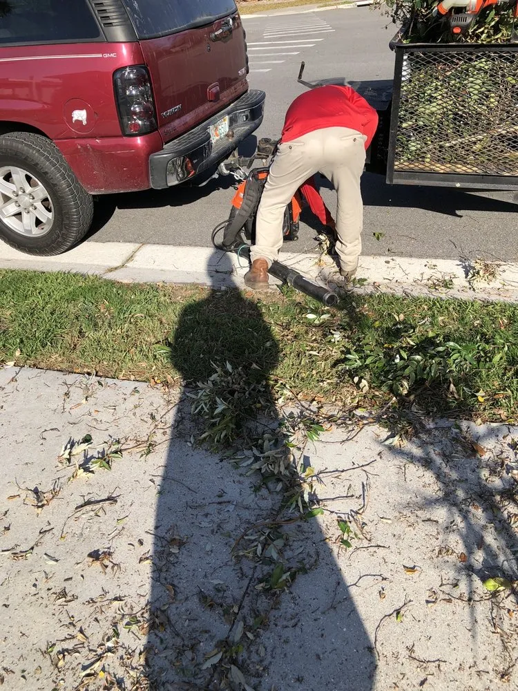 Professional residential landscaping experts serving Palmetto, FL - Pedro's Lawn Service