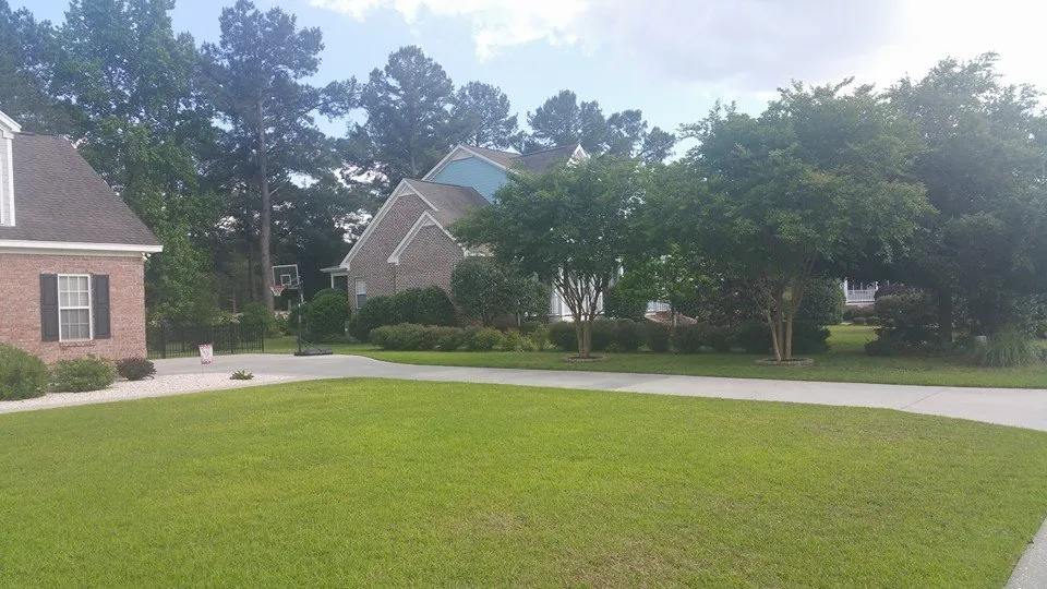 Professional residential landscaping experts serving Florence, SC - PEE DEE Landscaping