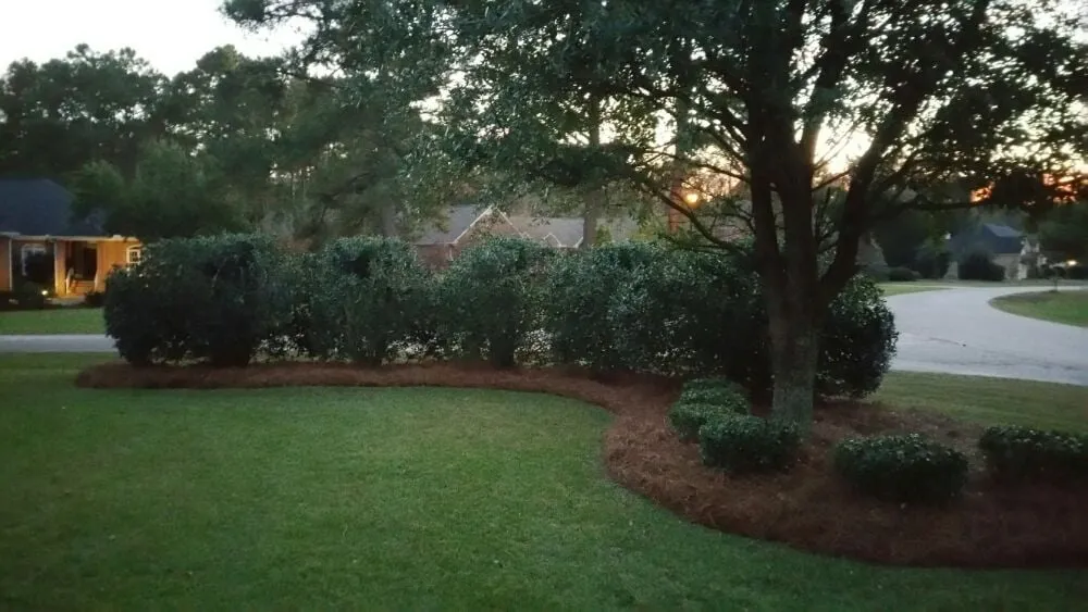 Professional landscape design experts serving Florence, SC - PEE DEE Landscaping