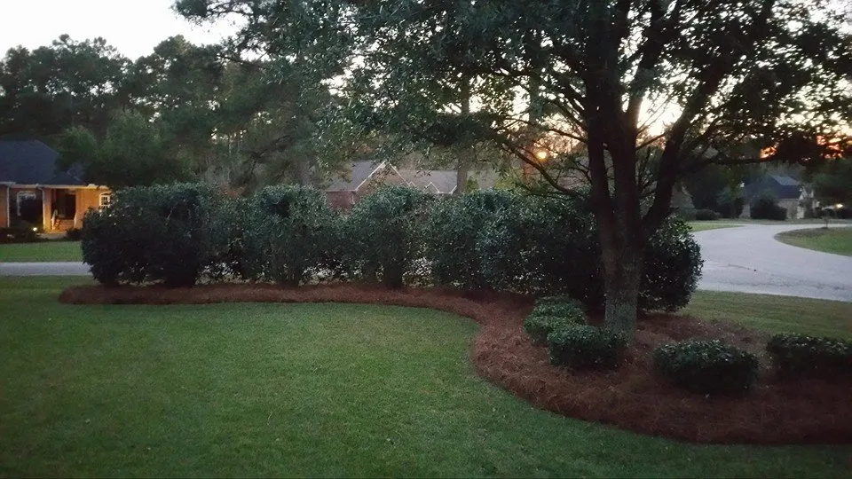 Top-rated yard cleanup service near you in Florence, SC by PEE DEE Landscaping