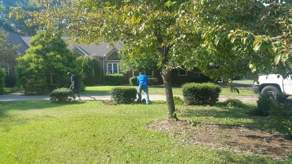 Top-rated yard cleanup service for homes across Florence, SC - PEE DEE Landscaping