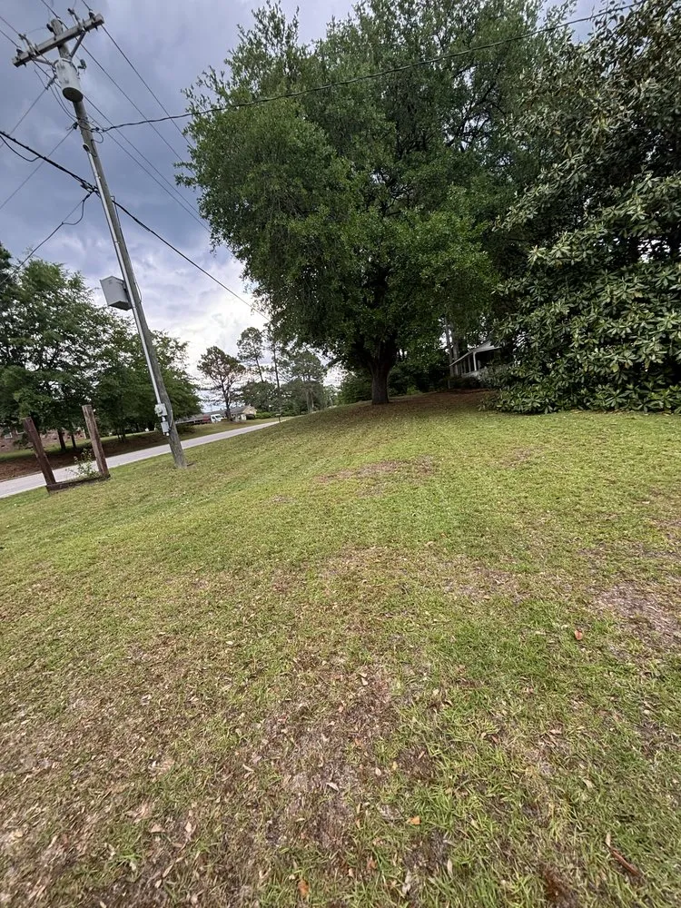 Trusted garden landscaping in Camden, SC by Pee Dee Precision