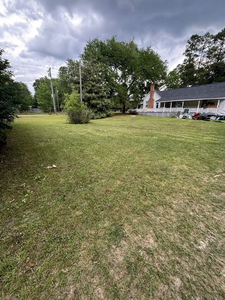 Expert outdoor landscaping in Camden, SC - Pee Dee Precision