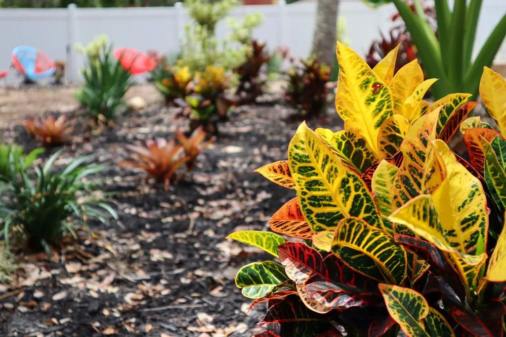 Reliable landscape design experts serving Fort Myers, FL - Peer Landscaping