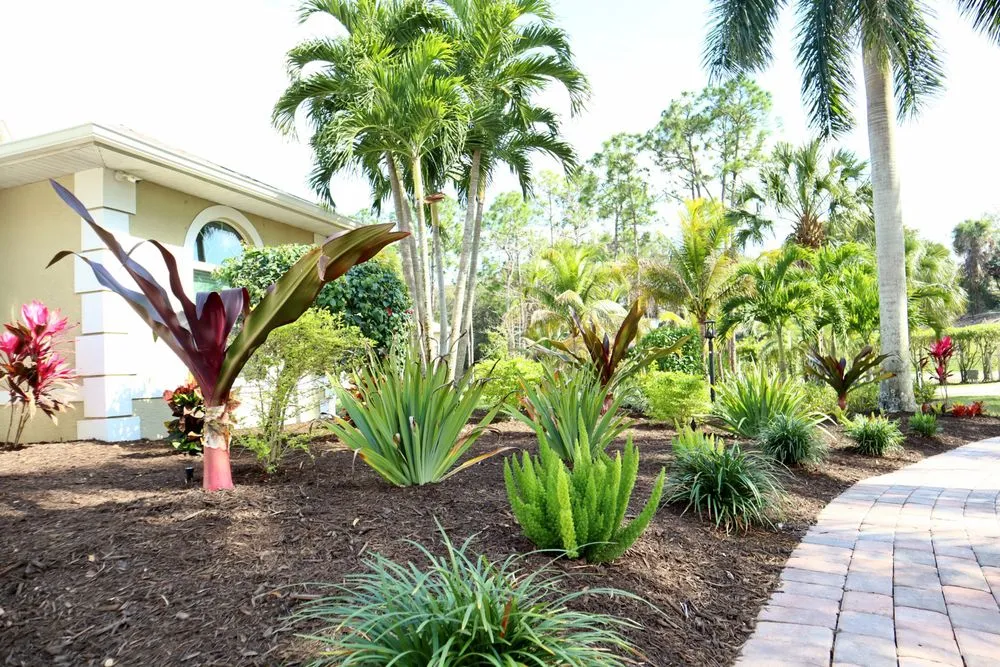 Trusted yard cleanup service for beautiful yards in Fort Myers, FL by Peer Landscaping